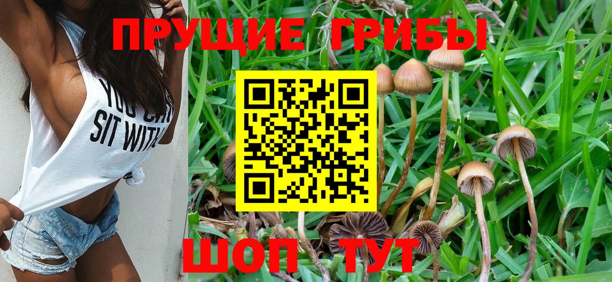 Галлюциногенные грибы Psilocybe  Псилоцибиновые грибы ЛСД  Шатура  Вход с VPN 